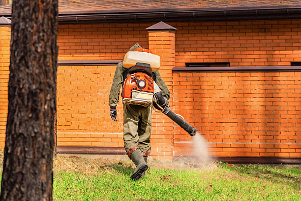 Trusted Termite Control service in Guilford Center, CT - Nex Pest Control
